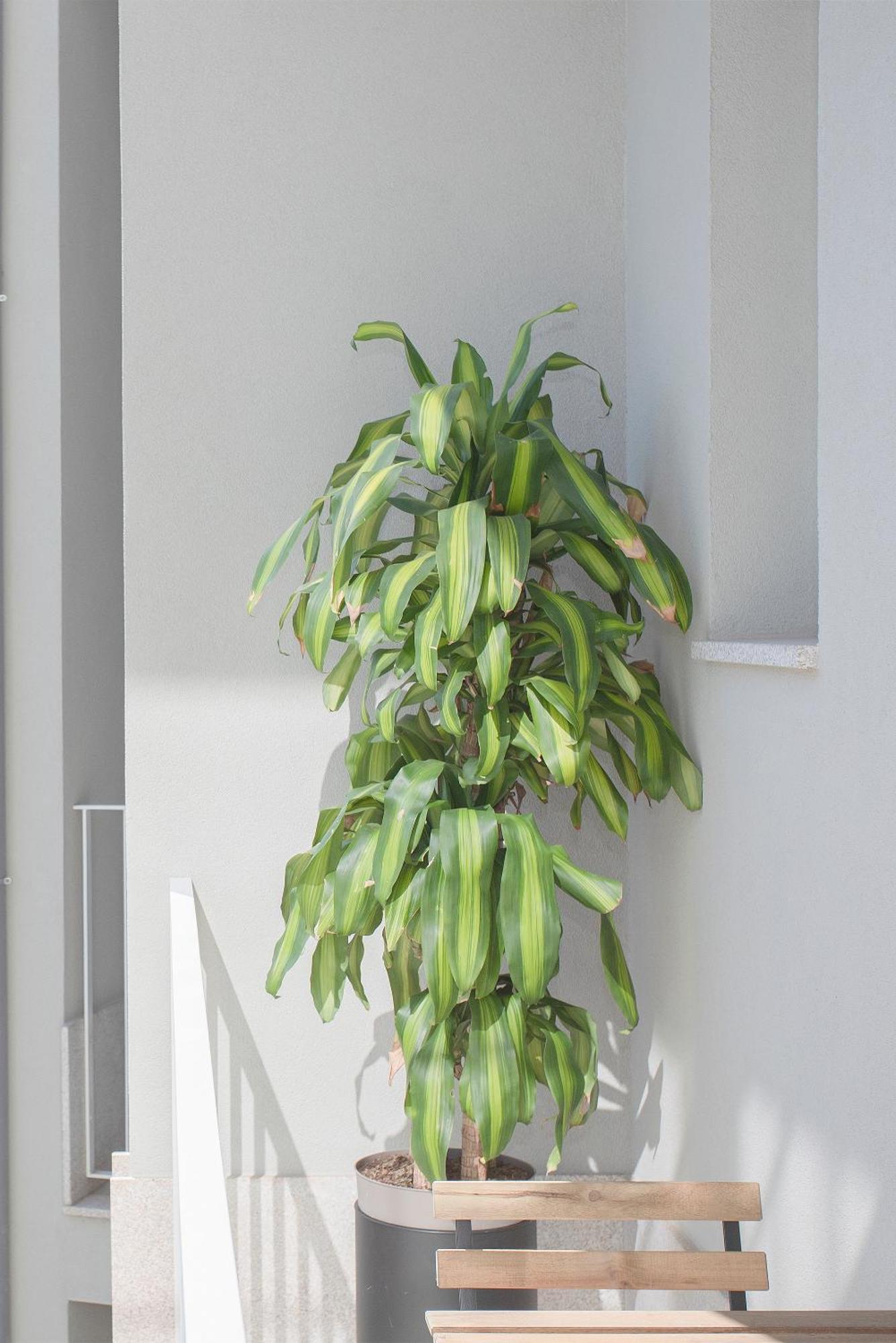 Liiiving In Porto - Art Design Apartment Exterior foto